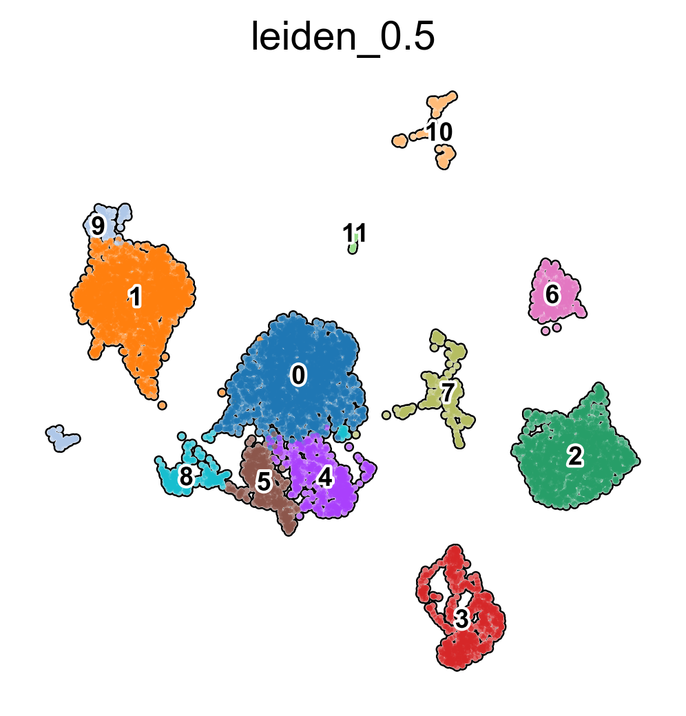 ../../../_images/tutorials_notebooks_scEve_Cross_species_modality_prediction_using_scEve_13_1.png