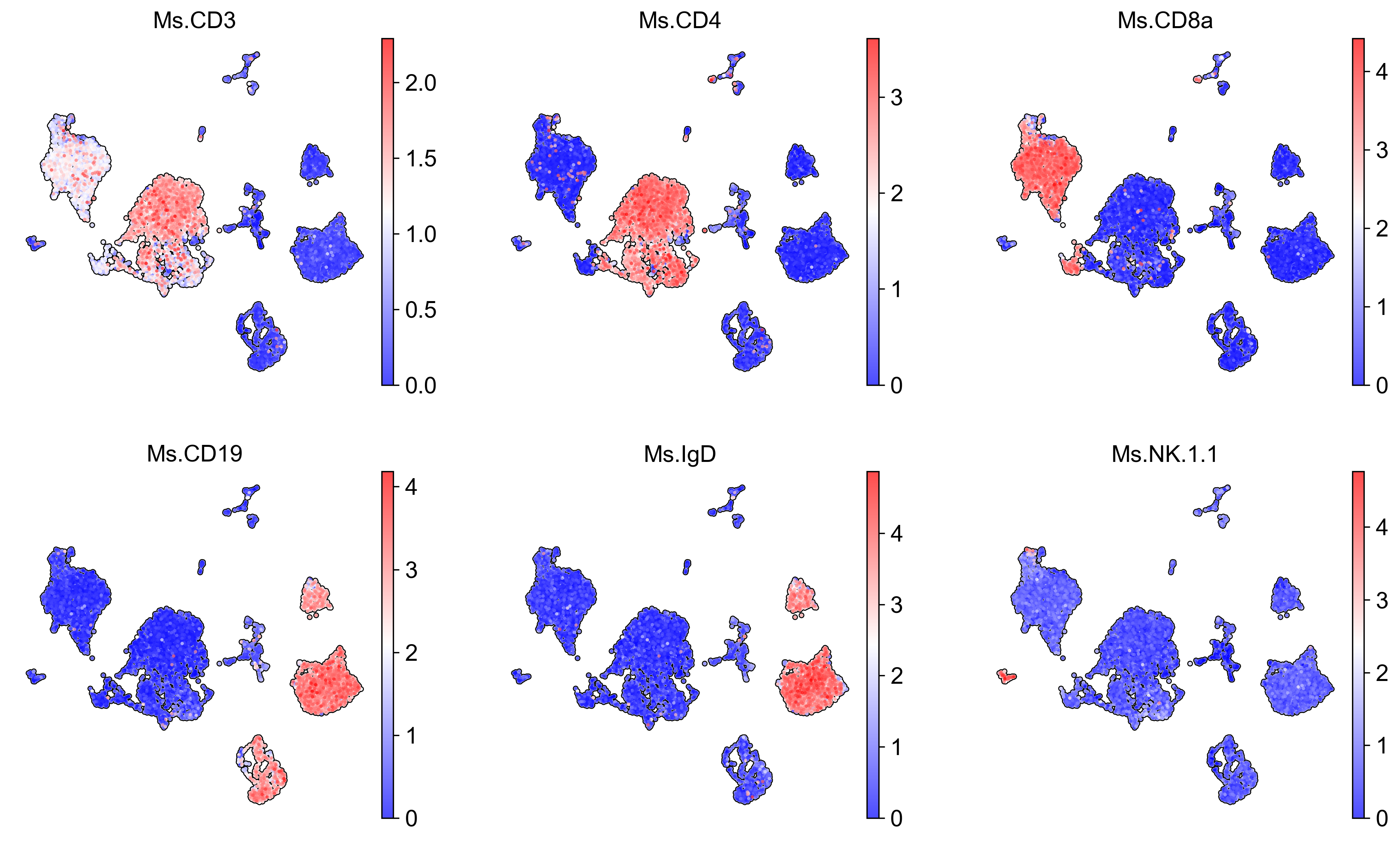 ../../../_images/tutorials_notebooks_scEve_Cross_species_modality_prediction_using_scEve_18_1.png